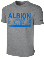 ALBION  BROOKLYN BASICS TEE SHIRT W/ BLUE ALBION NATION BLOCK LOGO CENTER FRONT CHEST LIGHT HTH GREY