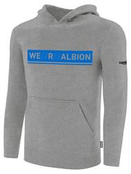 ALBION  BROOKLYN BASICS FLEECE PULLOVER HOODIE W/ BLUE WE R ALBION BOX LOGO CENTER FRONT CHEST LIGHT HTH GREY