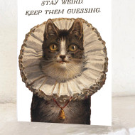 Card, Cat Stay Weird Keep Them Guessing Blank Inside