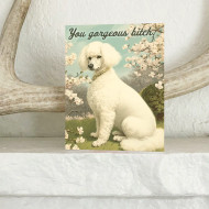 Card, Your Gorgeous Bitch Dog Poodle Blank Inside