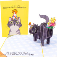 Card, 3D Cat Birthday Funny 4 Out Of 5 Cats Don’t Care That Its Your Birthday