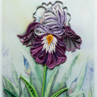 Card, Greeting Irish Quilling