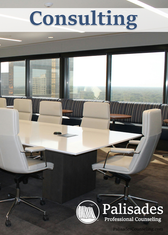 Consulting Services