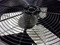 Used 5 Ton Condenser Unit TRANE Model 4TTB3060D1000AA ACC-18029
