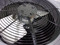 RHEEM