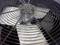 Used 2.5 Ton Condenser Unit TRANE Model 2TTB3030A1000AA ACC-19445