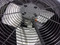RUUD Used Central Air Conditioner Condenser 13AJN48A01 ACC-20344