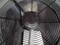 RHEEM
