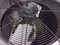 Used 2 Ton Condenser Unit CARRIER Model 25HBR324A300 ACC-10196