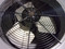 RHEEM