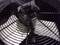 Used 3 Ton Condenser Unit RHEEM Model 14JM36A01 ACC-14568