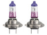 Two bulbs of Philips Purple Color Vision halogen bulbs 3350K 12972CVPPS2 H7