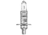 Single bulb of Osram Original Standard Halogen bulb 64150 H1
