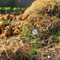 Compost Bin Thermometer 16 inch Stainless Steel Measuring Probe Hokco