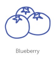blueberry-flavour-1.jpg
