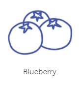 blueberry-flavour-6.jpg