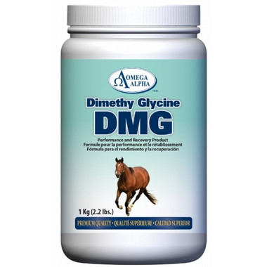 Omega Alpha Dimethyl Glycine DMG, 1 kg | NutriFarm.ca