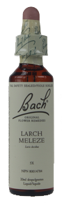 Bach Larch, 20 ml | NutriFarm.ca