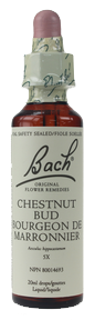Bach Chestnut Bud, 20 ml | NutriFarm.ca