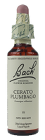 Bach Cerato, 20 ml | NutriFarm.ca