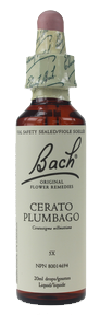 Bach Cerato, 20 ml | NutriFarm.ca