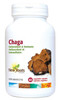 New Roots Chaga 350 mg (40% Polysaccharides), 60 Capsules | NutriFarm.ca