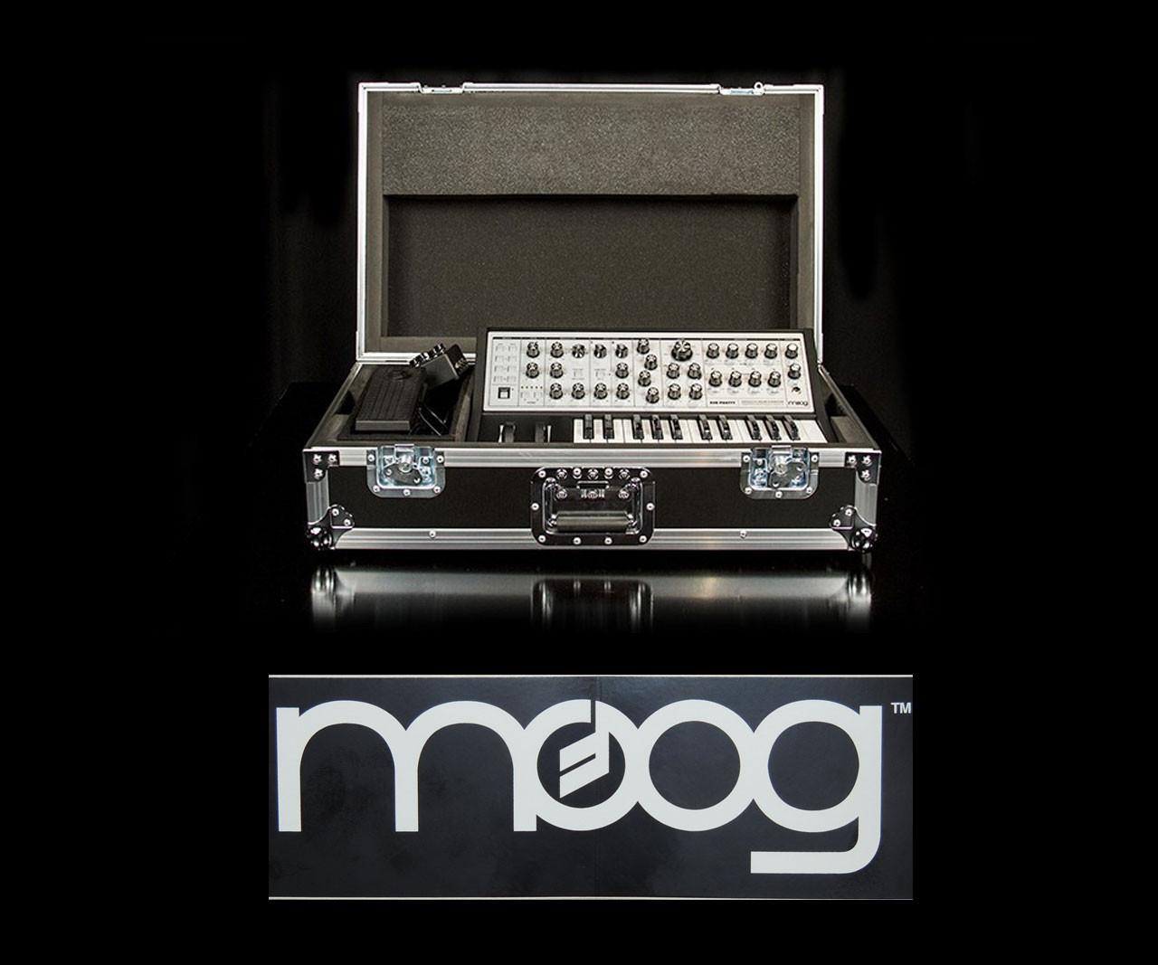 moog little phatty gig bolsa