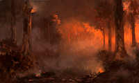 Bush Fire, a view at night 