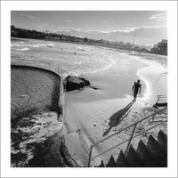 Bondi Surfer, 2003