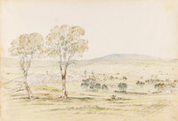 Bothwell on Clyde. Den Hill in distance