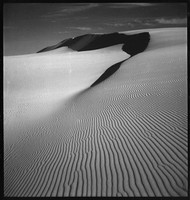Cronulla sandhills, 1936