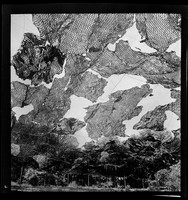 Camouflage net, Darwin, c 1943