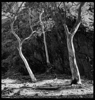MacDonnell Ranges, Northern Territory, c 1942