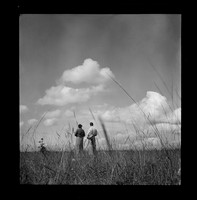 Spring cumulus, c 1947