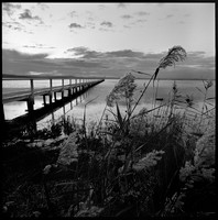Kims Camp, Toowoon Bay, NSW, c 1959