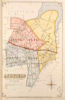 Ashfield Suburban Map
