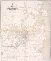 Map of Port Jackson and City of Sydney, 1875