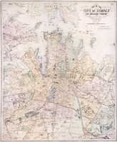Map of the City of Sydney and Adjacent Suburbs, 1907