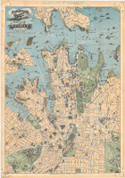 Robinson's Aeroplane Map of Sydney, 1909