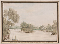 Upper part of Port Jackson, when the Fish was shot