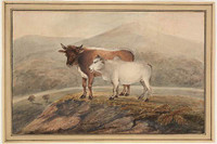 A Bengal cow and her calf, 1809