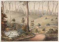 A view in Colonal Patersons garden Yorkton, 1808