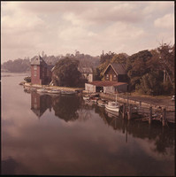 Fig Tree House, Hunters Hill