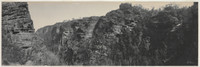 Blue Mountains scenery at Leura, 1903