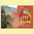 Kane Coat of Arms Irish Family Name Fridge Magnets Set of 4