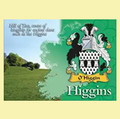 Higgins  Coat of Arms Irish Family Name Fridge Magnets Set of 2