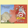 Foley  Coat of Arms Irish Family Name Fridge Magnets Set of 2