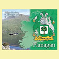 Flanagan  Coat of Arms Irish Family Name Fridge Magnets Set of 2