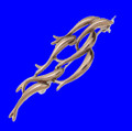 Swimming Shoal Of Fish Polished Bronze Brooch
