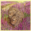 Brown Hare Leverets Animal Themed Mega Wooden Jigsaw Puzzle 500 Pieces